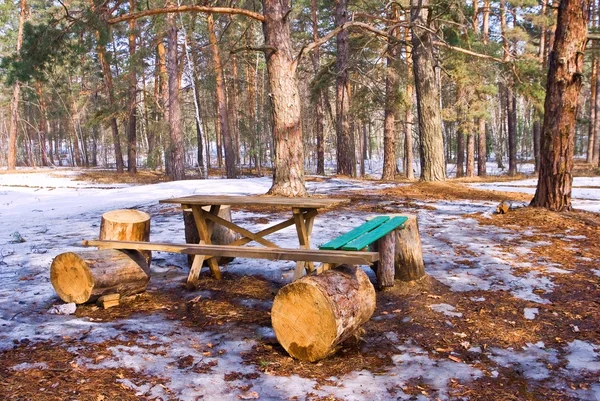 Touristic camp in a spring forest — Stock Photo, Image