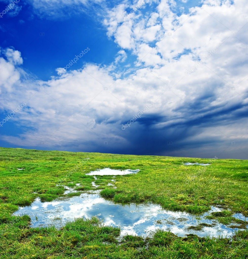Green meadow with puddles