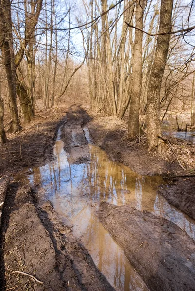 Spring dirty road — Stock Photo, Image