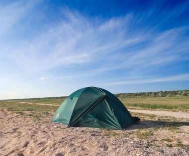 Green touristictic tent in a steppe clipart