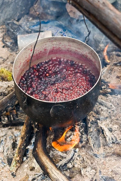 stock image Pot with a fruit compote