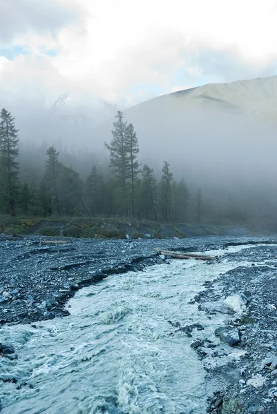 Foggy day on a mountain river — Stock Photo, Image