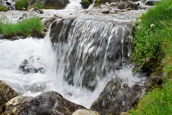 Rumbling stream of water — Stock Photo, Image