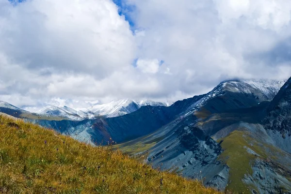 阿尔泰山山谷 — 图库照片