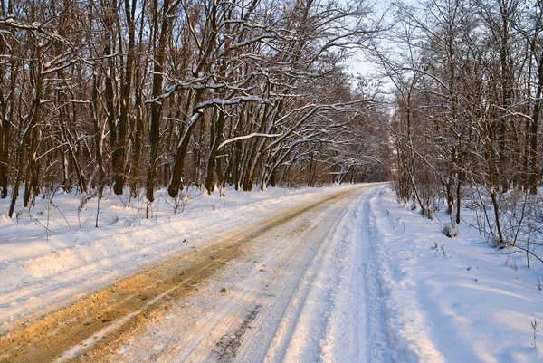 Snowbound weg in een winter forest — Stockfoto