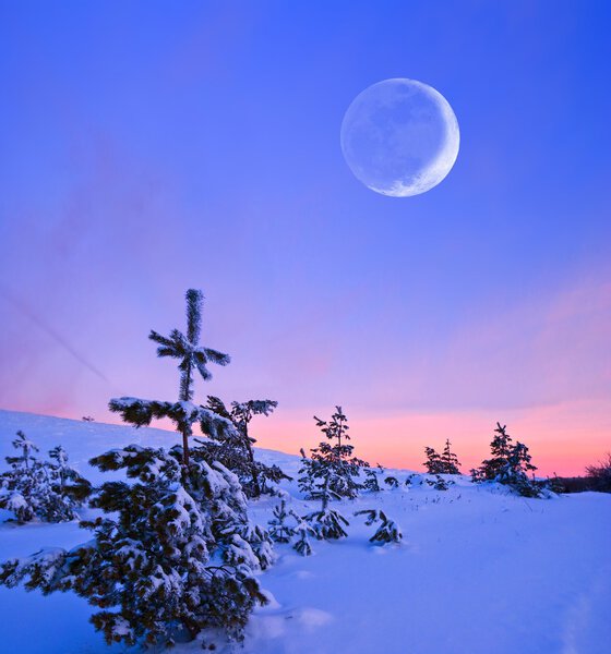 Huge moon above a winter forest