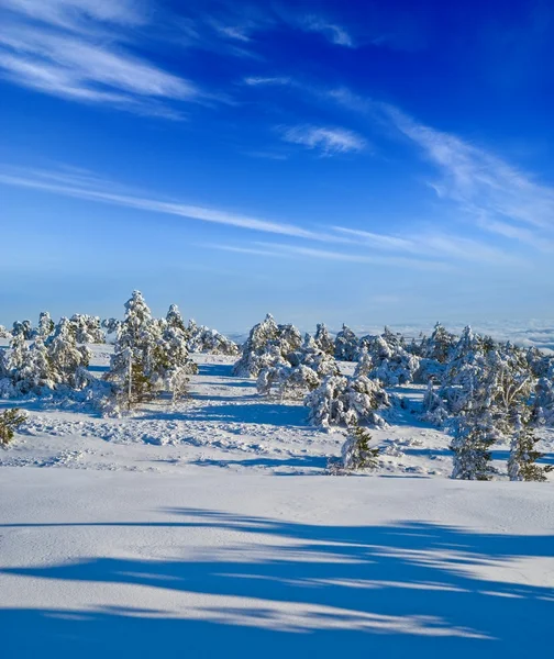 Vintern insnöade plain — Stockfoto