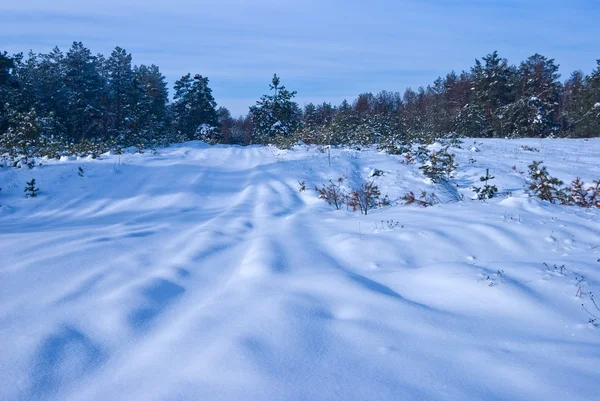 Invierno nevado llano — Foto de Stock