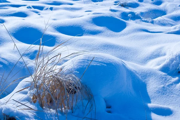 Winter snow background — Stock Photo, Image