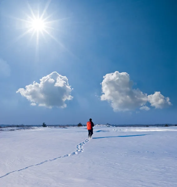 Πεζοπόρος σε μια πεδιάδα της χιόνος χειμώνα — Φωτογραφία Αρχείου