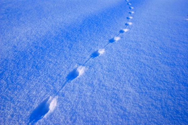 Track on a snow as a background — Stock Photo, Image