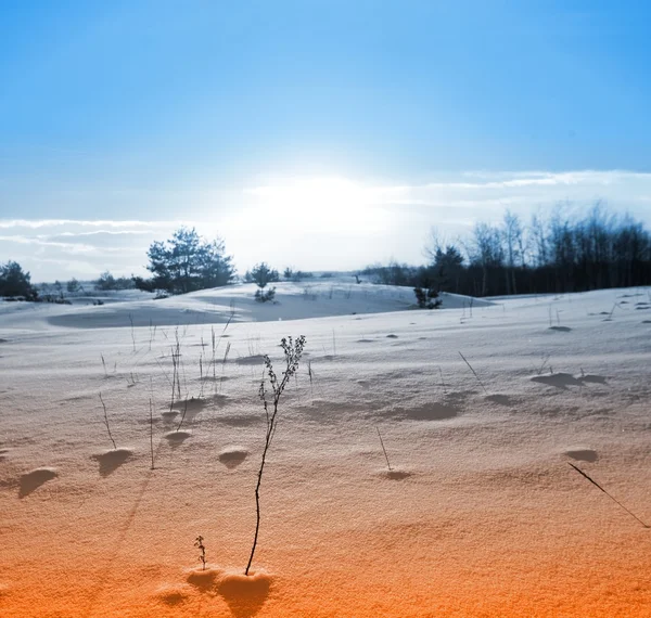 Stylized sunset in a winter plain as a background