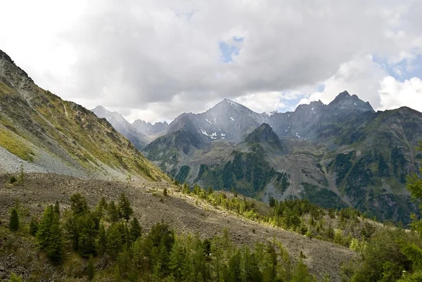 Valle di montagna in una fitta nuvola — Foto Stock