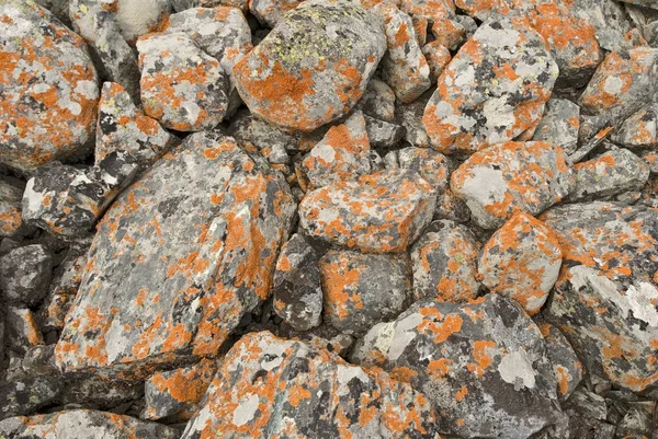 Pedras velhas como pano de fundo — Fotografia de Stock
