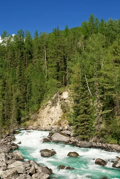Rivière émeraude se précipitant dans une forêt de montagne — Photo