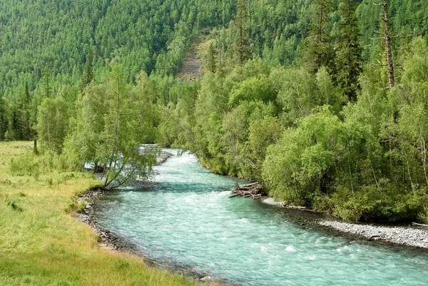 Emerald river — Stock Photo, Image