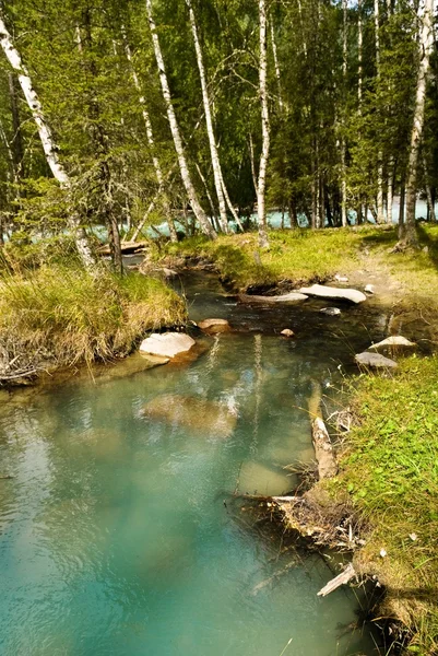 Beautiful emerald river — Stock Photo, Image