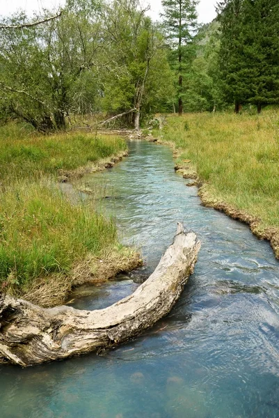Blauwe rivier in een forest — Stockfoto