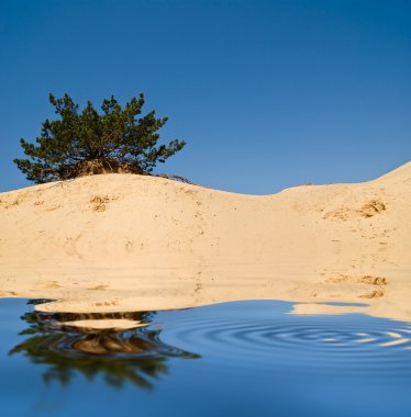 Lake in a sand clipart