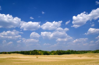 yaz çöl manzarası