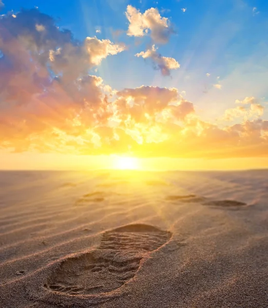 stock image Man footprint on a sand at the sunset