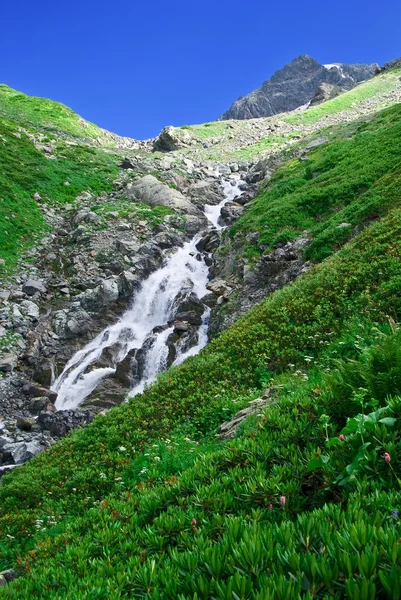 L'eau se précipite d'une montagne — Photo