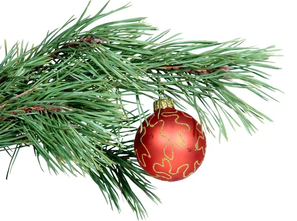 전나무에 매달려 크리스마스 장난감 — 스톡 사진