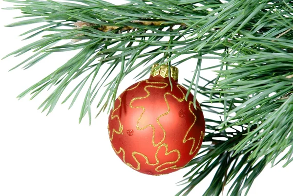 전나무에 매달려 크리스마스 장난감 — 스톡 사진