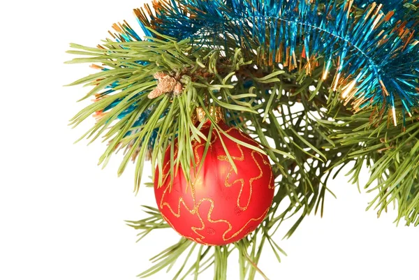 Decorated fir branch — Stock Photo, Image