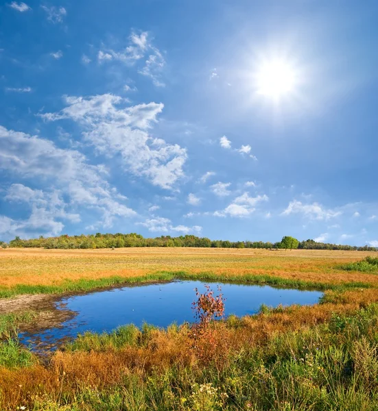 晴れた日で秋の草原 — ストック写真