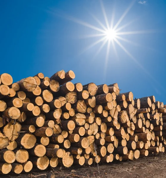 stock image Pile of wooden logs