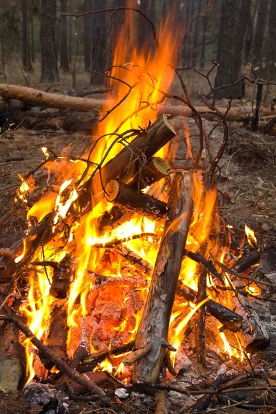 Turystyczne ognisko w lesie — Zdjęcie stockowe