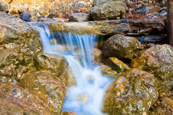 Petit ruisseau dans une pierre — Photo