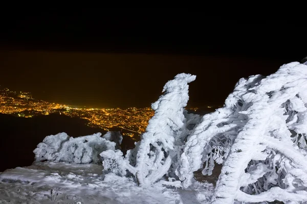 冬季積雪森の上に夜の街 — ストック写真