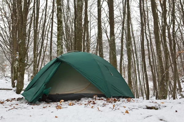 Туристическая палатка в зимнем буковом лесу — стоковое фото
