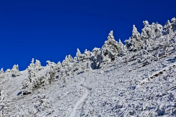 Hófúvásából hegy lejtőjén — Stock Fotó