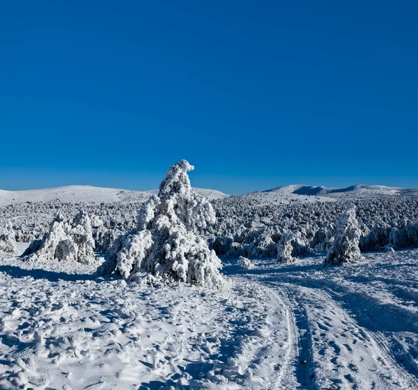 Colline invernali su una neve — Foto Stock