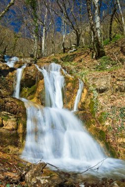 su cascades bir dağ nehir üzerinde