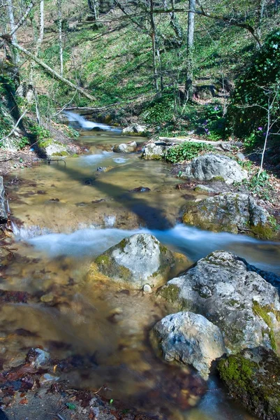 Spěchá na jaře řeka — Stock fotografie