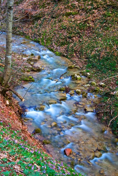 Río en un cañón de montaña — Foto de Stock