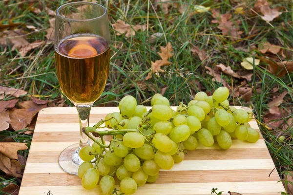 गवत मध्ये फळांमध्ये पांढरा वाईनचा ग्लास — स्टॉक फोटो, इमेज