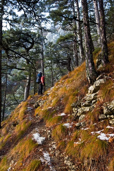 Wanderer am Berghang — Stockfoto