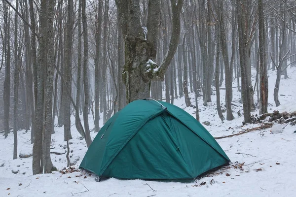 Zielony turystyczne namiot ina zimowym Mglisty las — Zdjęcie stockowe