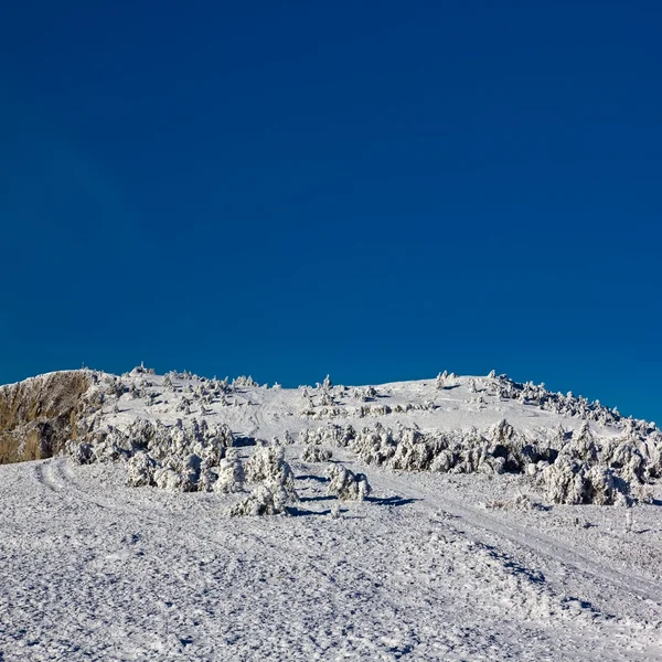 Colline in una neve — Foto Stock