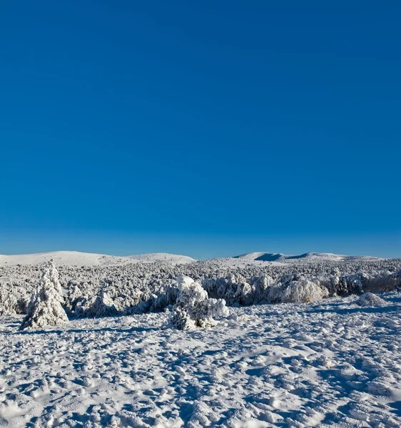 Inverno pianura innevata — Foto Stock