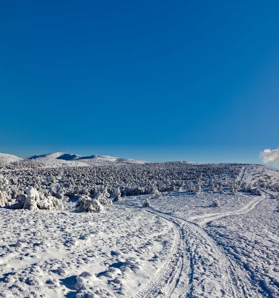 Дорога среди зимней равнины — стоковое фото