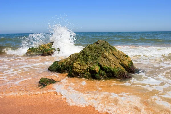 stock image Summer sea landscape