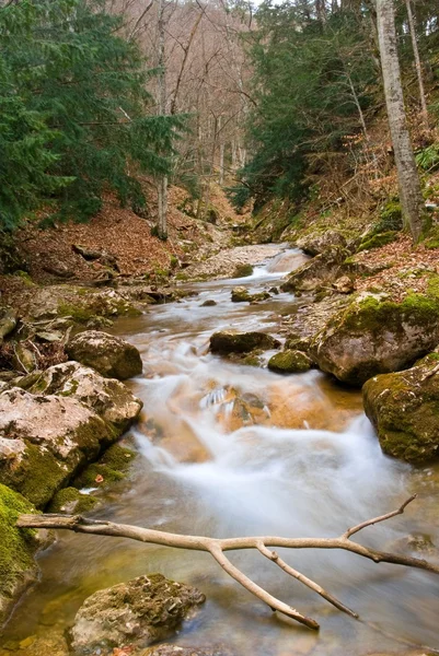 Jarní řeka v kaňonu hora — Stock fotografie