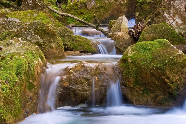Vattnet rusar över en stenar i en moss — Stockfoto