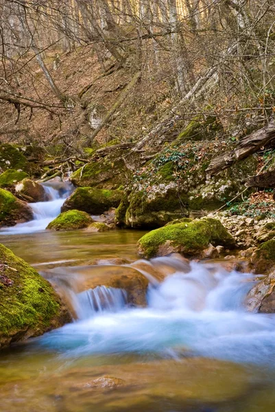 Spring river in a mountain valley — Stock Photo, Image
